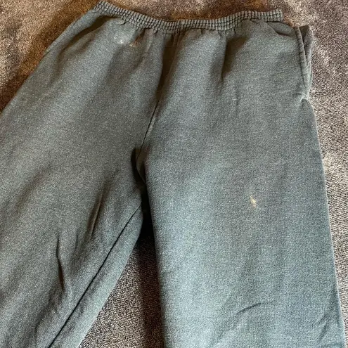 Hanes basic gray sweats ( M )