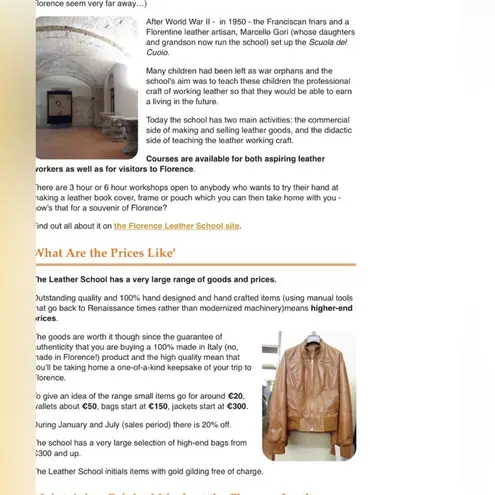 Florence Leather school Vintage Rare and unique, Snakeskin Bag/Clutch