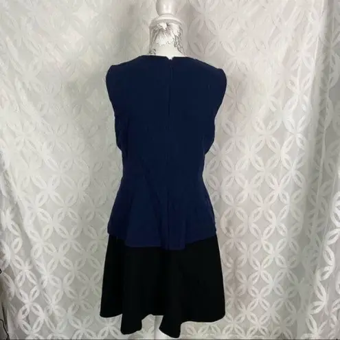 Oscar de la Renta Layered Two Tone Wool Blend Crepe Size 8 Dress