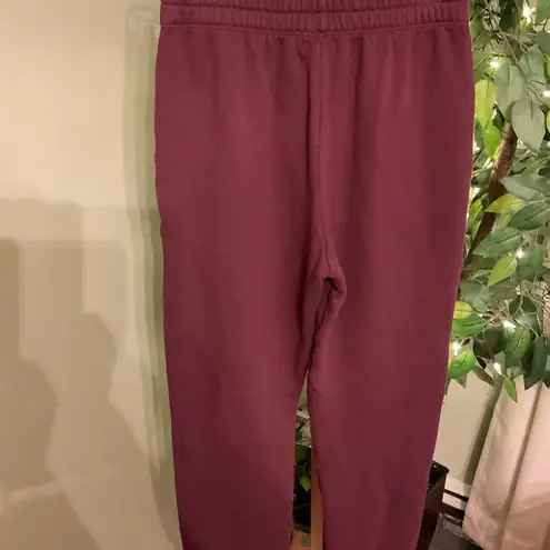 Sundry  NWT Boyfriend Sweatpants Size 2 (medium) in Wine