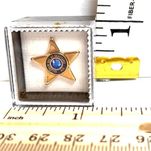 Employee of the Quarter Pin New in Case A467