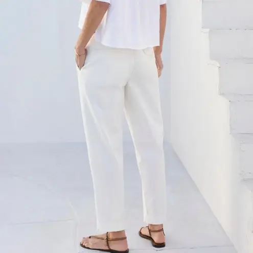 AYR The Metropolitan Hi-Rise Pleated Twill Trouser Pants Basmati White 8