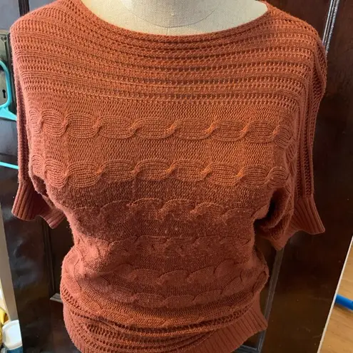 Dress Barn Size Small (Petite) milk chocolate brown  short sleeve knit blouse