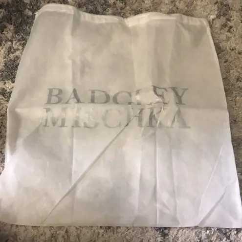 Badgley Mischka LAST CHANCE 💄 One Size Fits All Satchel with dust bag