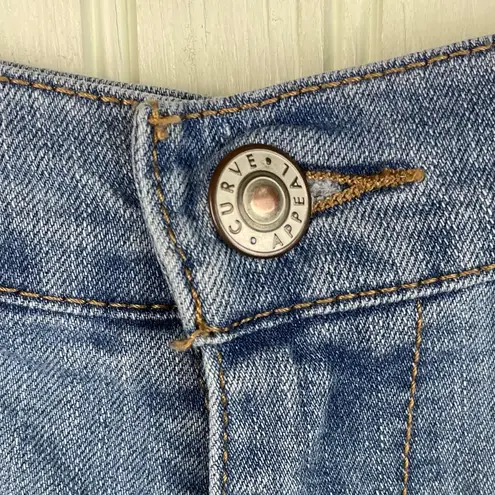 Curve Appeal Denim Jean Shorts Vertical Seams Slash Pockets Women's Size 4/27 Blue