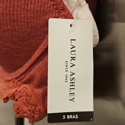 Laura Ashley 💕💕 Comfort Push Up Bras 3 Pack ~ Multi-Solid Colors 36B NWT