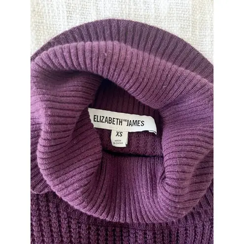 Elizabeth and James | Sleeveless Turtleneck Sweater | Purple | Sz XS