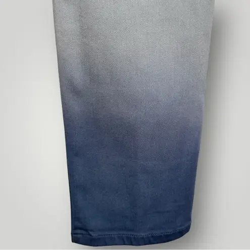 J. Jill Denim Women's Dip Dyed Ankle Jeans (940) Gray Size 8