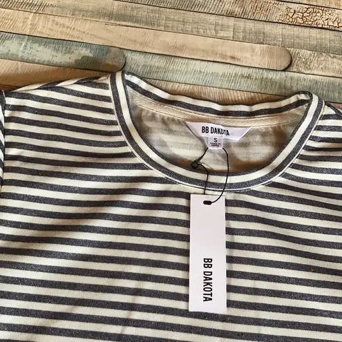 BB Dakota  Sparkly Blue/White Striped Swing shirt