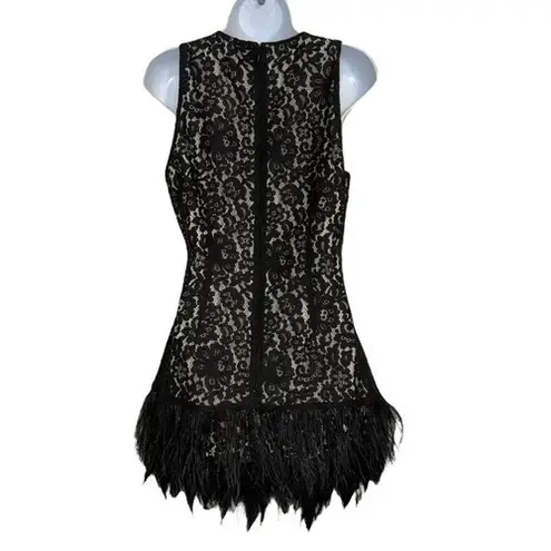 Endless Rose Gorgeous Black Lace Dress With Black & White Feather Trim EUC M