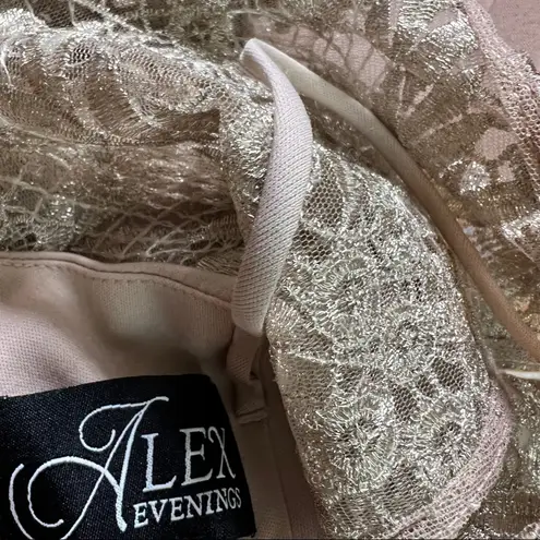 Alex Evenings Size 6 Long & Fit & Flare Dress Godet Detail w/all over Embroidery