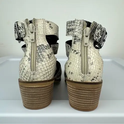 NWT Crevo Snakeskin Ankle Booties Sz 7 Buckle Straps Stacked Heel Black