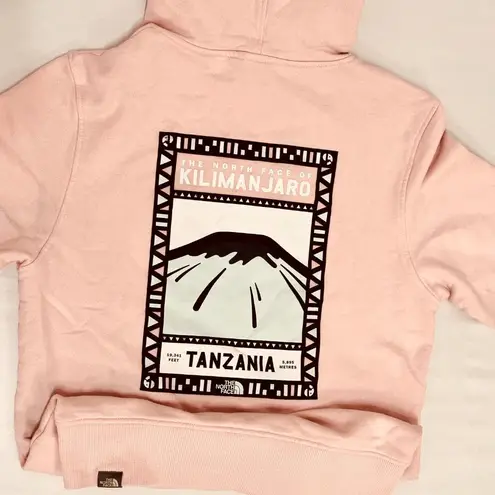 The North Face Faces Hoodie - ASOS Exclusive - Pink - XS