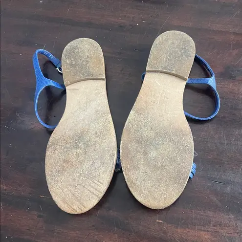 Salvatore Ferragamo Blue Gem-Embellished Sandals