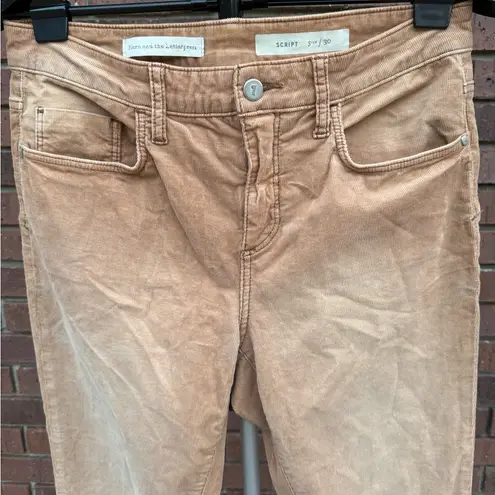 Pilcro and the Letterpress Anthropologie Script Corduroy Pants Jean Tan Size 30