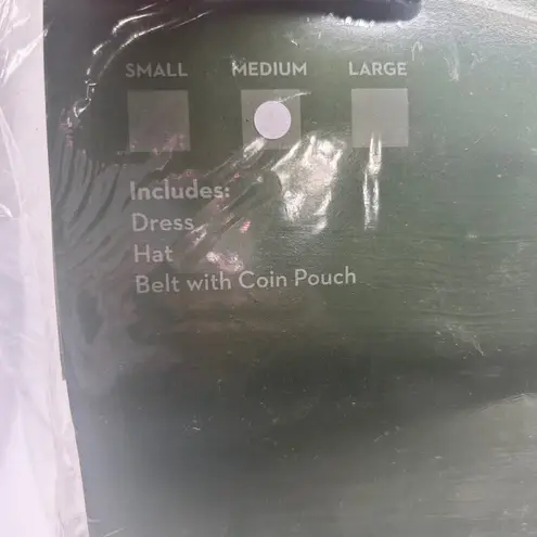 NEW Lady Robin Hood Costume Adult Medium Dress Hat Belt Halloween Cosplay Green