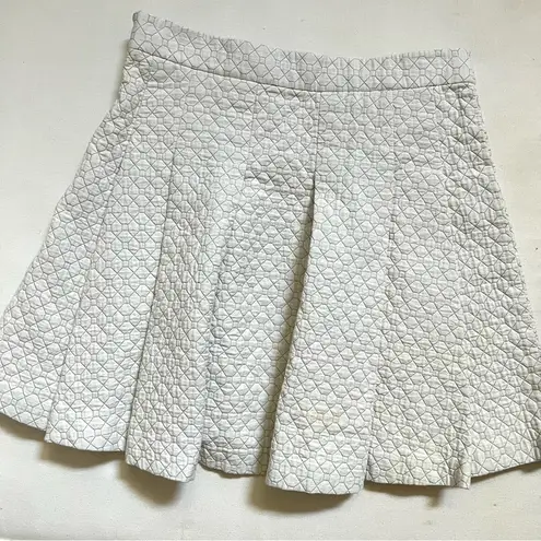 Derek Lam 10 Crosby White Gray Pleated Fall Winter Spring Mini Skirt Size 4