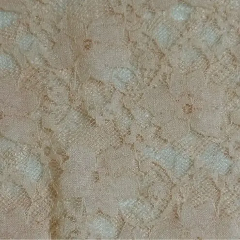 Just Sexy Lingerie Beige & Purple Sheer Lace Floral Chemise & Thong Set 1X