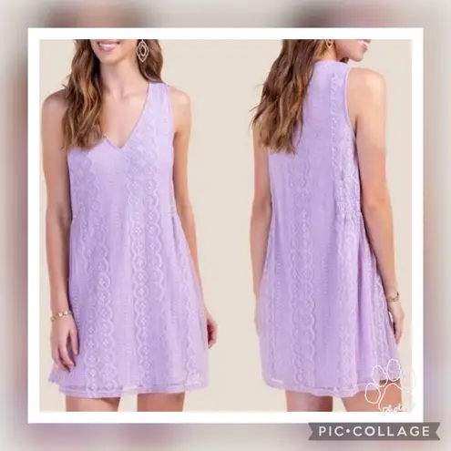 NWT Francesca’s (Blue Rain) Lavender Lace Shift Dress M Purple Size M