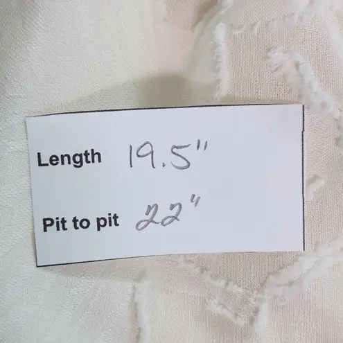 Peach Cream Cropped Sheer Blouse with Full Sleeves Size XL Cream Boho Top