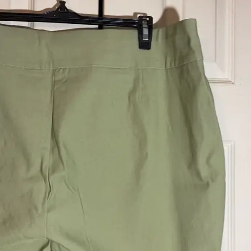 Premise Woman Spring Green Stretch Waistband Ankle Cropped Pants Size 3X NWT
