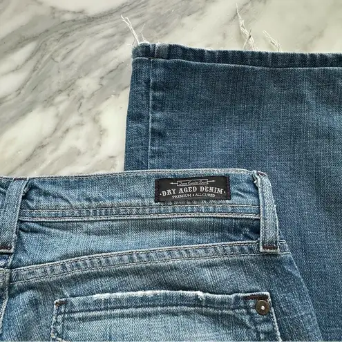 James Jeans Vintage Y2K Low Rise James Cured By Seun Jeans • Sz 28