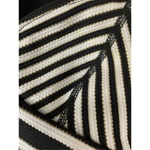 Robin Piccone New. stripe with metallic bikini set. XS. Retails $210