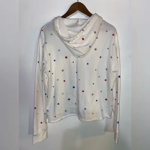 Alternative Apparel Eco-Fleece hooded sweatshirt - size large