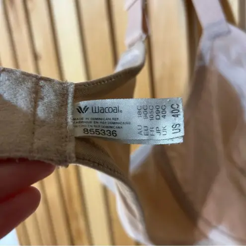 Wacoal Elevated Allure Underwire Bra in Roebuck Size 40C