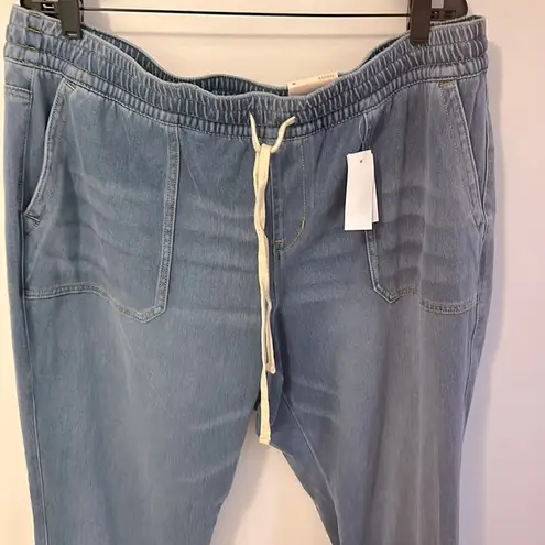 Lane Bryant  Boyfriend Jogger Jeans