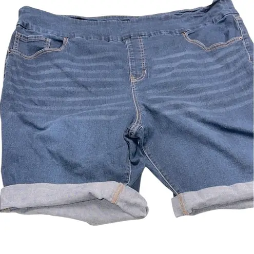Terra & Sky  Dark Denim Shorts size 3X - Image 1