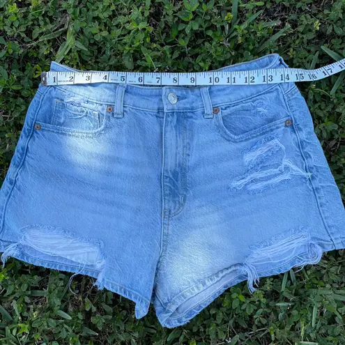 American Eagle Outfitters Denim Mom Shorts