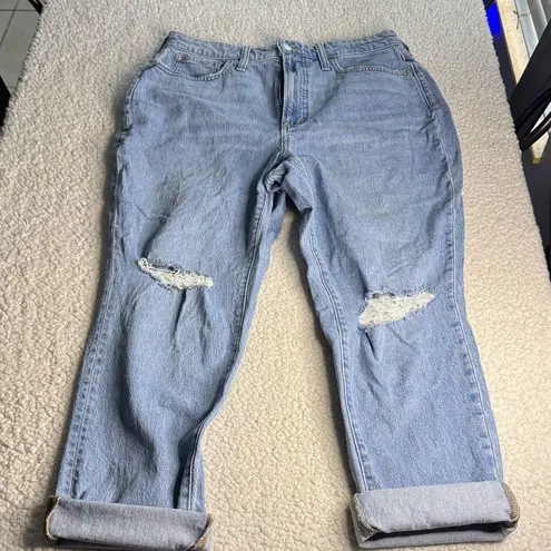 Madewell  The Curvy Perfect Vintage Jean Distressed Light Blue Boyfriend Fit