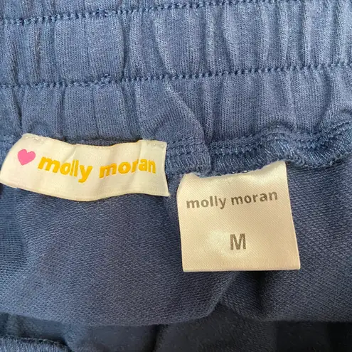 Molly Moran Run Around Skirt Size Medium Blue Pink