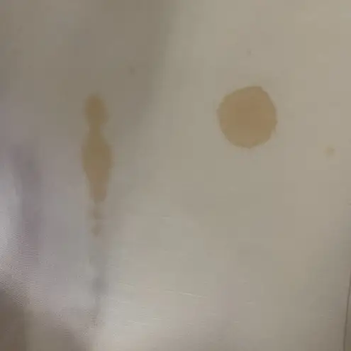 Ashley Stewart Midi Skirt White Flare Pull On Side Zip Size 16W