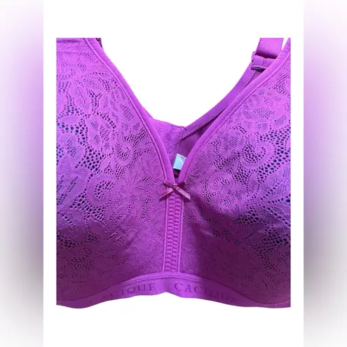 Cacique Cotton Collection Lightly Lined No-Wire Bra 46D – NWT Purple Lane Bryant