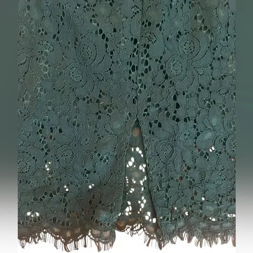 Bardot Lace Panel Dress