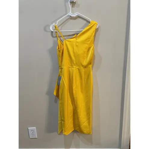 Lavish Lice Lavish Alice Asymmetric Cowl Neck Dress sz 6