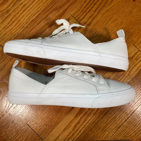 Sole Society | Dansy Cut-Out White Leather Lace-Up Sneakers | Size 9.5