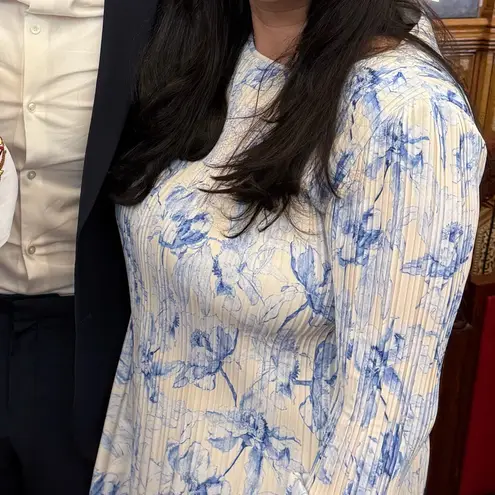 Maje Long Sleeve Dress in Blue and Cream Size 40 (US 12)