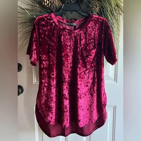 potter's pot Cranberry Wine Merlot colored Potter’s Pot velvet velour top short sleeve