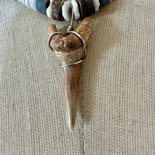 Natural Shell & Real Fossil Shark Tooth Necklace