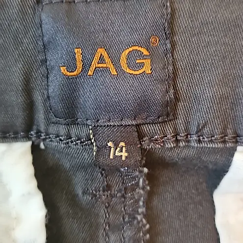 Jag jeans Jag ankle length slim fit pants