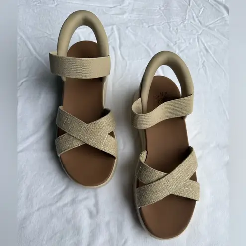 WOMEN'S BOBS 114417 SUN RAY SLIP