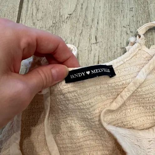 Brandy Melville  Crop Top