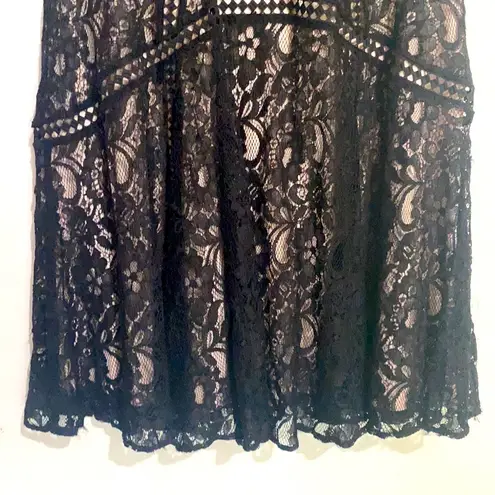 TAYLOR lace fully lined sleeveless fitted and flare dress π Size 10