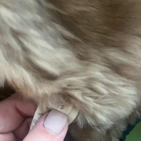 L'Agence L’AGENCE Fur lined parka coat size small