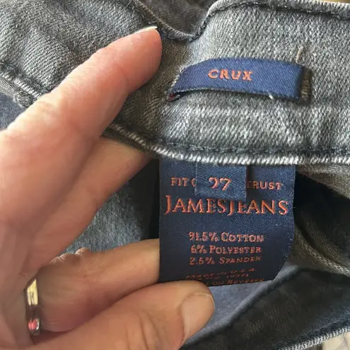 James Jeans James Twiggy Crux Javachip Jeans Size 27