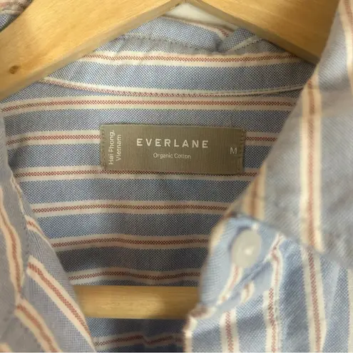 Everlane  The Boxy Oxford striped size medium