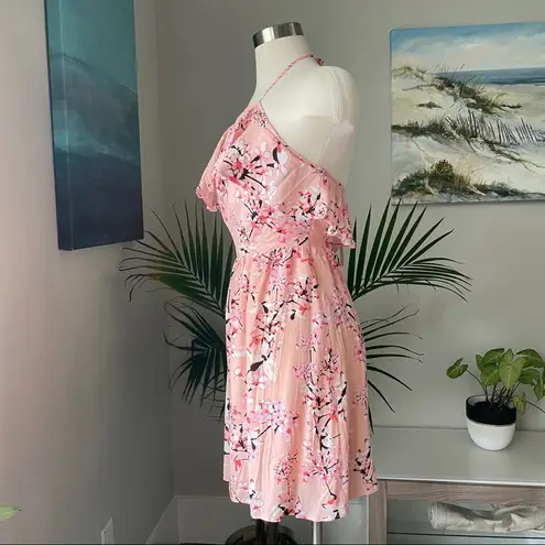 Cupcakes and Cashmere NWT blossom dress